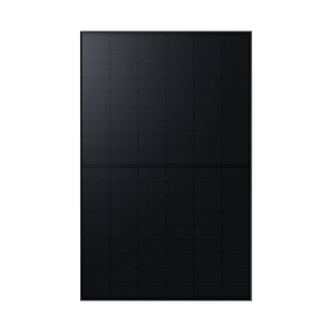 Indevolt Bifacial Monocrystalline Solar Panel (450W, 2-pack)