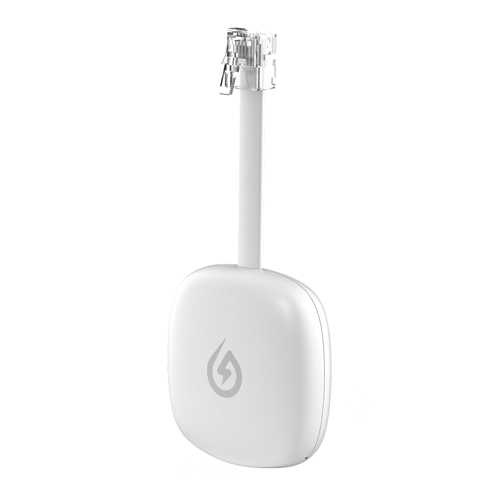 Solarman P1 Meter Reader