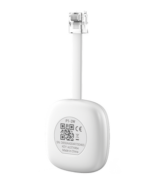 Solarman P1 Meter Reader