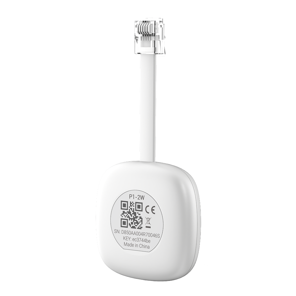 Solarman P1 Meter Reader